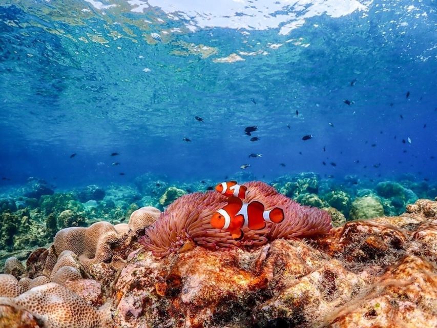 Bangkok: Nemo Island Day Trip With Drone Photos and Lunch - Included Amenities