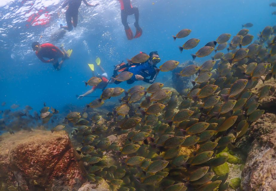 Bangkok: Nemo Island Day Trip With Drone Photos and Lunch - Booking and Cancellation