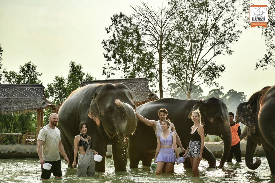 Bangkok: Pattaya Elephant Jungle Sanctuary Half-Day Tour - Elephant Activities
