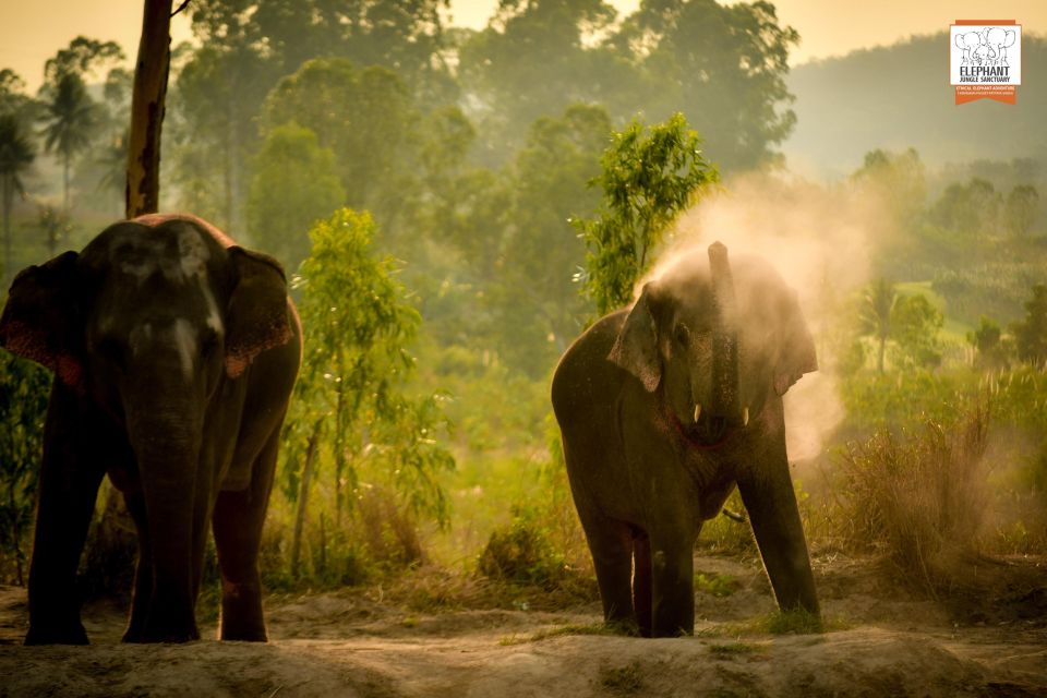 Bangkok: Pattaya Elephant Jungle Sanctuary Half-Day Tour - Tour Duration
