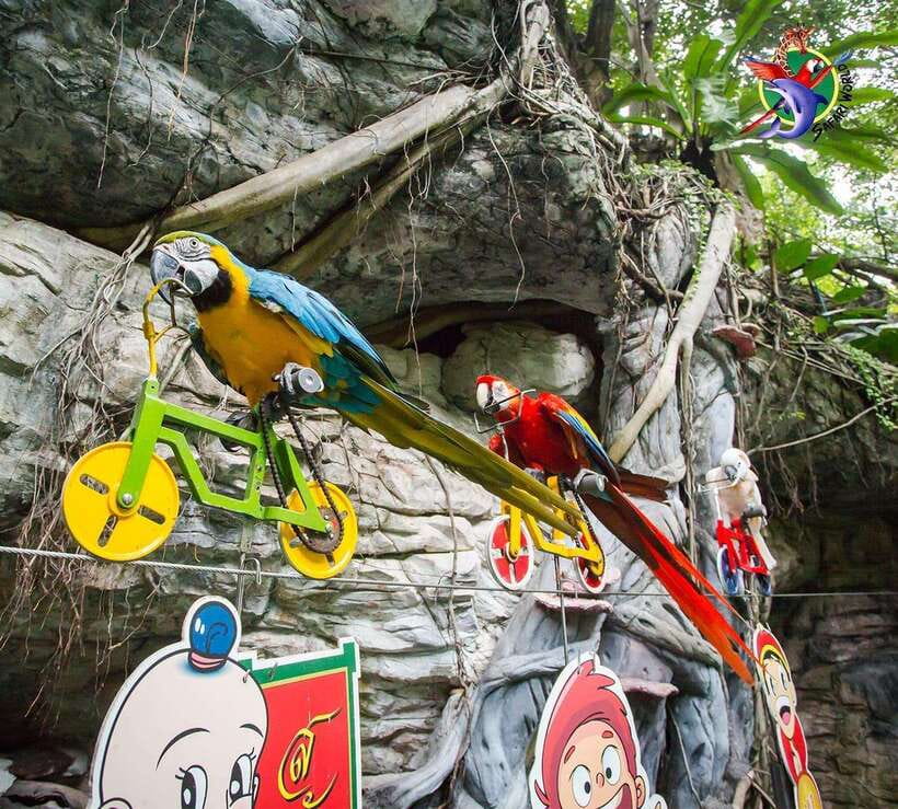 Bangkok & Safari World, Hotel and Private Transfer - Accommodation Details