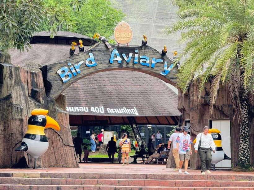 Bangkok to Moo Deng: Private Transfer To Khao Kheow Zoo - Discovering Khao Kheow Open Zoo