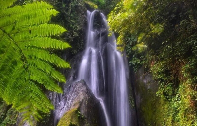 Bangli Hidden Gems: Waterfall Tour - Included Activities