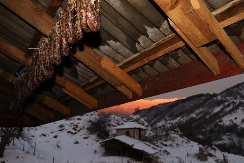 Bansko: Rare Bulgarian Pets Experience - The Sum Up
