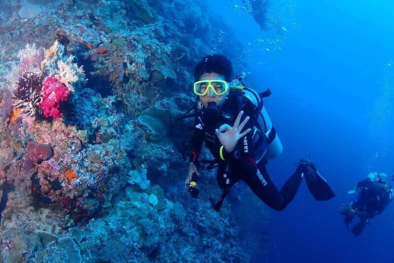 Bantayan Island: Fundive Scuba Adventure - An Introduction to the Bantayan Fundive Experience