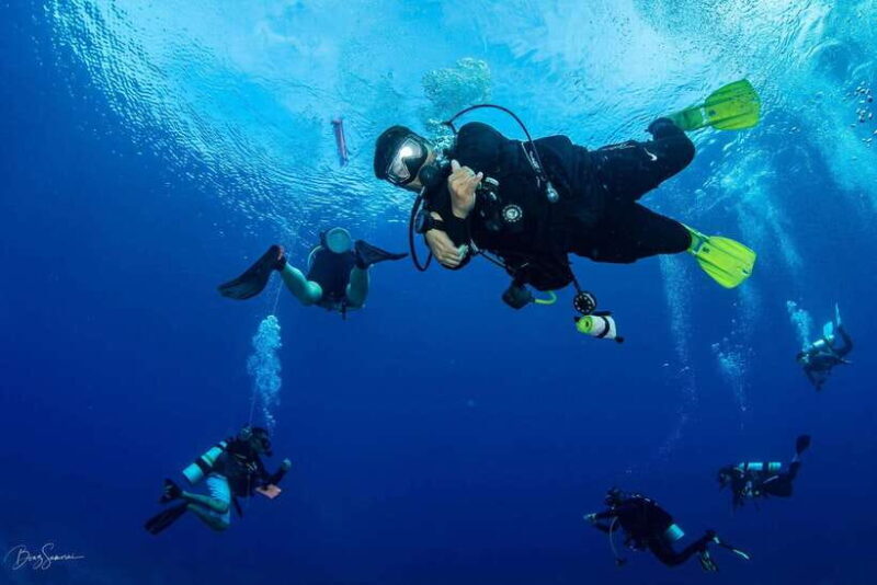 Bantayan Island: Fundive Scuba Adventure - What’s Included and What to Bring
