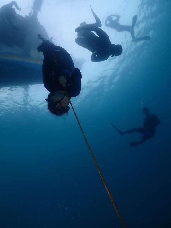 Bantayan Island: Intro Freediving Experience - Who Should Book This Tour?