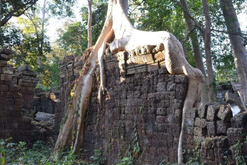 Banteay Chhmar Temple & Silk Farm Day Trip from Siem Reap - Practical Information and Tips