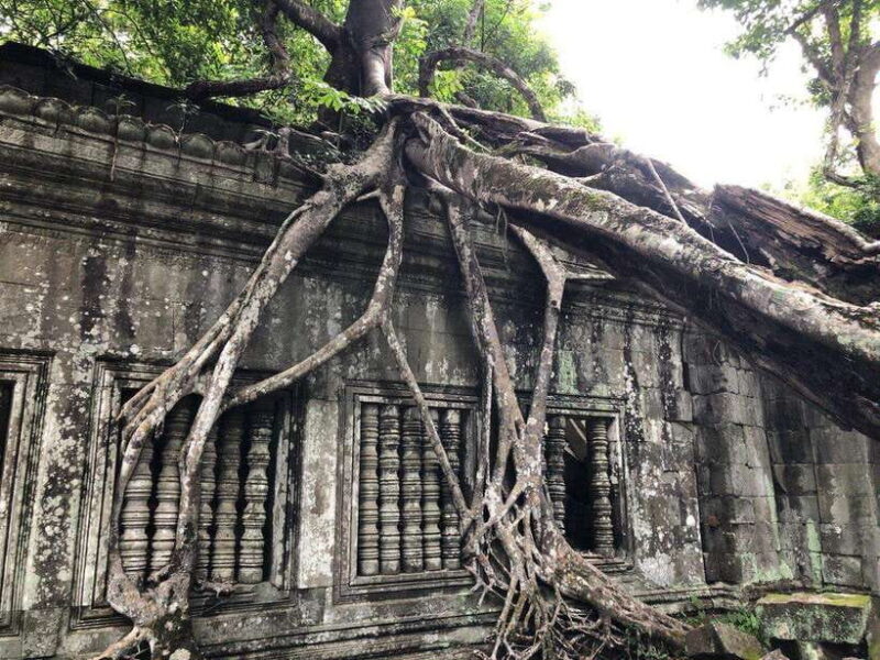 Banteay Srey, Beng Mealea, Kompong Phluk with Spanish Guide - Why Choose This Tour?