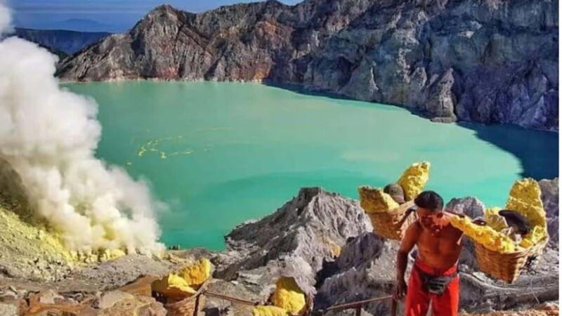 Banyuwangi: 2-Day Adventure with Baluran National Park - A Practical Introduction to the Banyuwangi 2-Day Tour