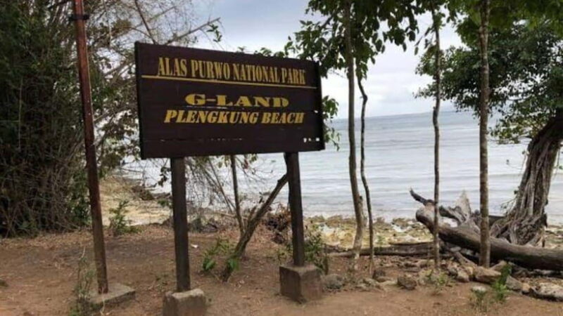 Banyuwangi: 2-Day Adventure with Baluran National Park - The Value and Practical Aspects