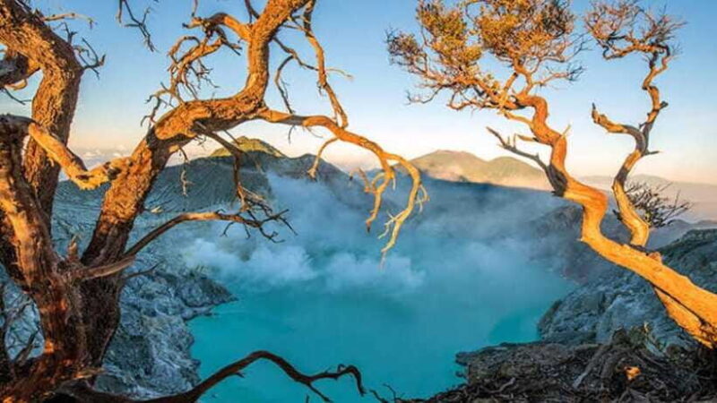 Banyuwangi: 2-Day Adventure with Baluran National Park - FAQ