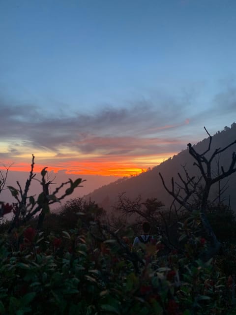 Banyuwangi/Bali: Mount Ijen Midnight Blue Fire Guided Tour - Group Size and Language