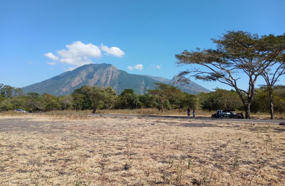 Banyuwangi: Private Car Charter With Professional Driver - Inclusions