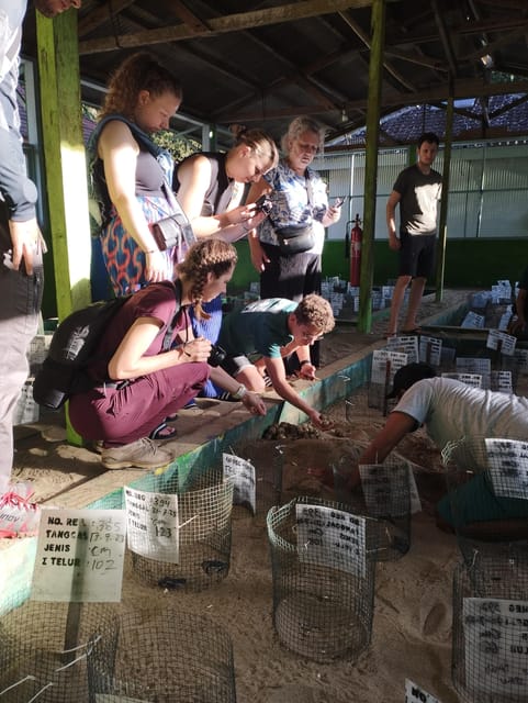 Banyuwangi: Sukamade Beach Turtle Conservation 2-Day Tour - Tour Itinerary: Day 1