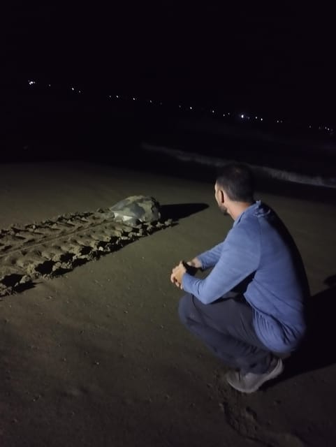 Banyuwangi: Sukamade Beach Turtle Conservation 2-Day Tour - Tour Itinerary: Day 2