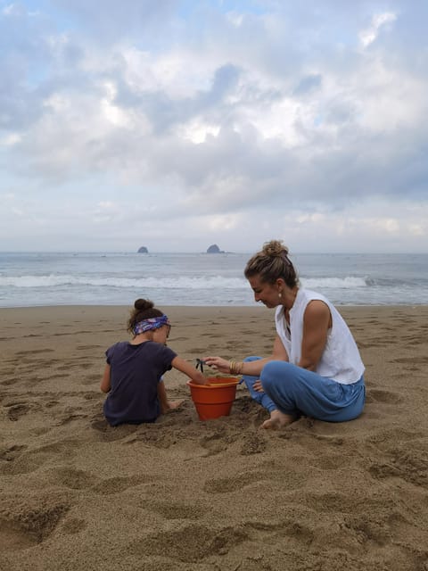 Banyuwangi: Sukamade Beach Turtle Conservation 2-Day Tour - Included in the Tour
