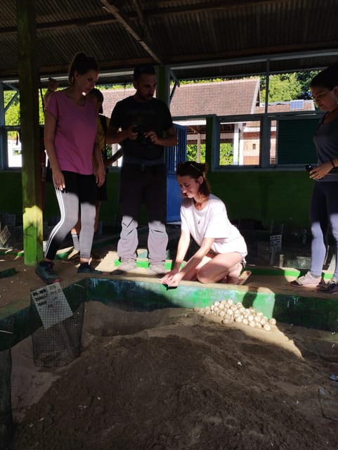 Banyuwangi: Sukamade Beach Turtle Conservation 2-Day Tour - Suitability and Restrictions