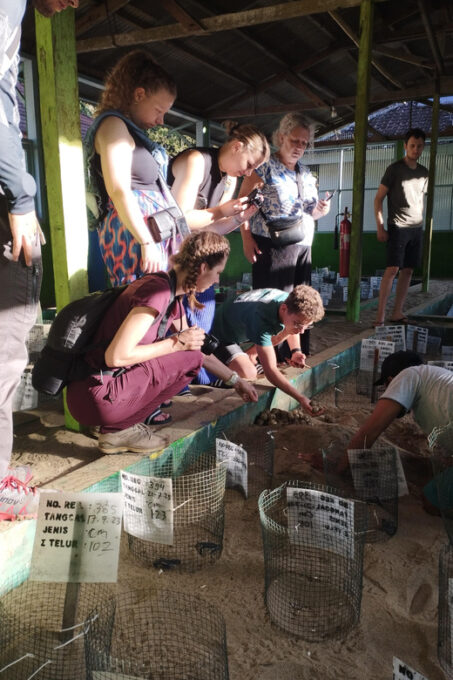 Banyuwangi: Sukamade Beach Turtle Conservation 2-Day Tour - Customer Feedback