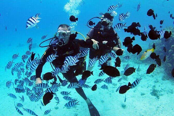 Baptism diving in the turquoise waters of Tahiti - Baptism Diving in the Turquoise Waters of Tahiti: A Complete Review