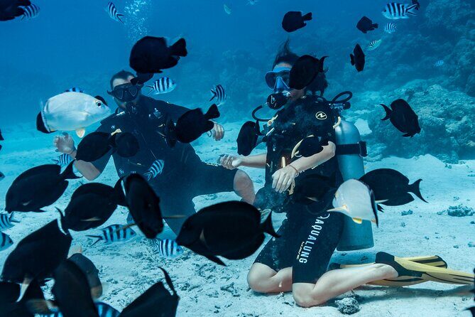 Baptism diving in the turquoise waters of Tahiti - Who Should Consider Other Options?