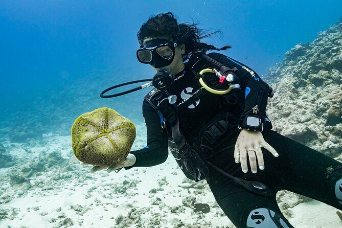 Baptism: introductory dive at Moorea Fun Dive - The Benefits for First-Timers and Adventurers