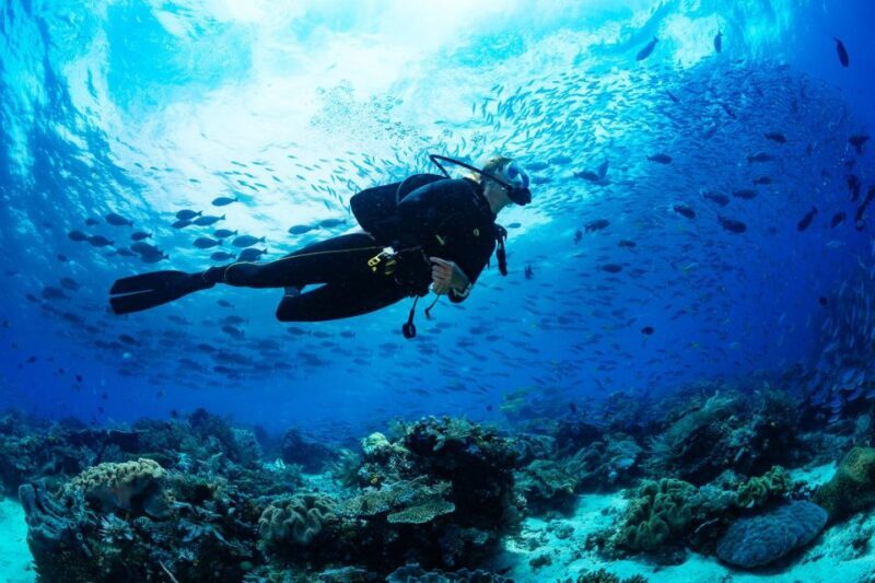 Baptism of the Sea Scuba Experience in Polignano a Mare - The Guides and Group Dynamics