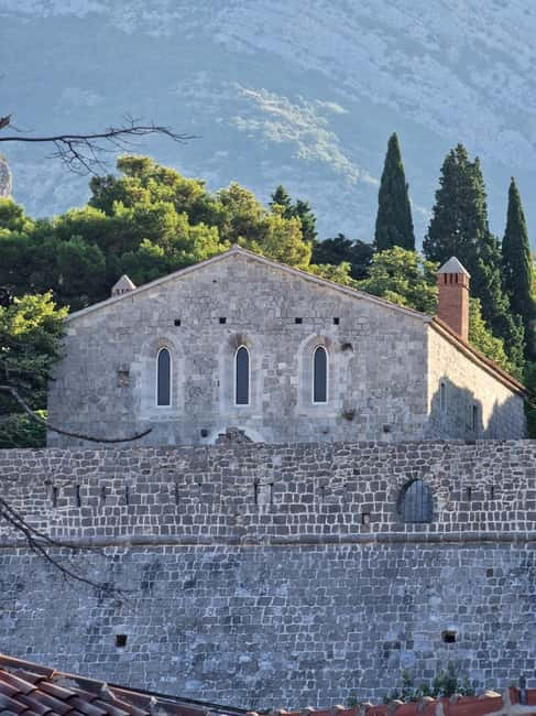 Bar: City Tour with Museum and Old Olive Tree Visit - FAQ