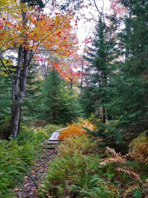 Bar Harbor: Acadia National Park Autumn Leaf Private Tour - An In-Depth Look at the Acadia Autumn Leaf Tour