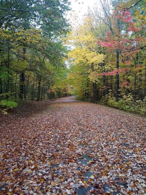 Bar Harbor: Acadia National Park Autumn Leaf Private Tour - Final Thoughts: Is It Worth It?