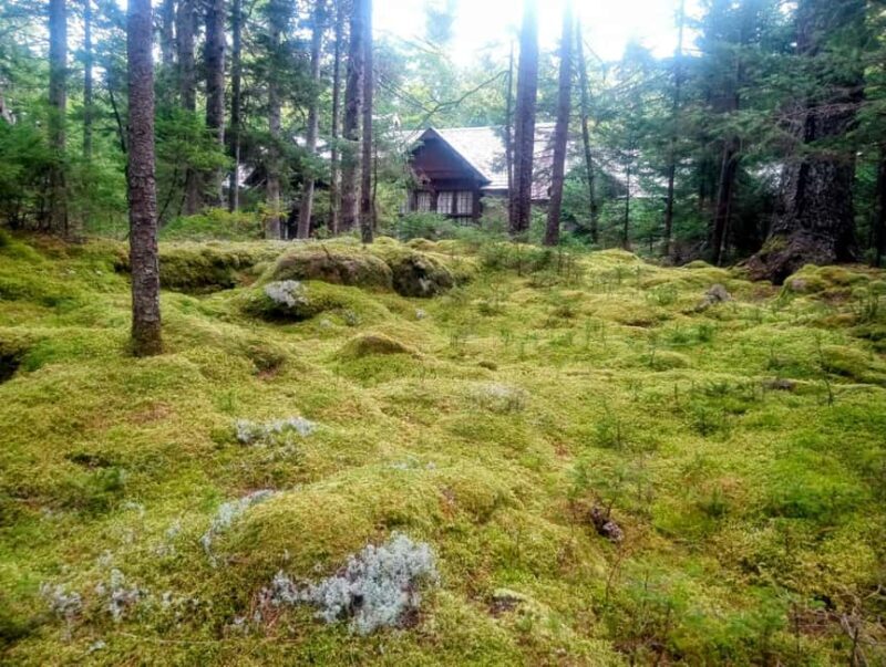 Bar Harbor: Acadia National Park Autumn Leaf Private Tour - FAQ