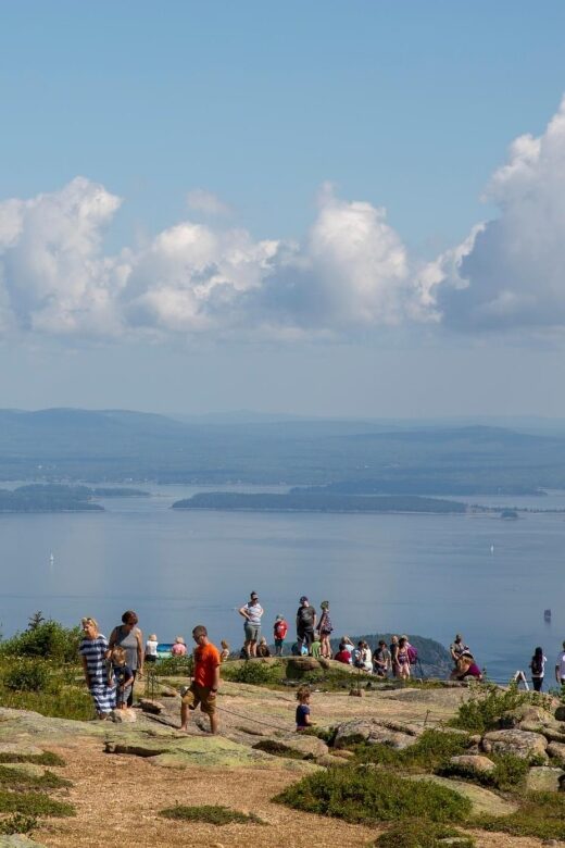 Bar Harbor: Acadia National Park Customizable Private Tour - What To Expect in Practice