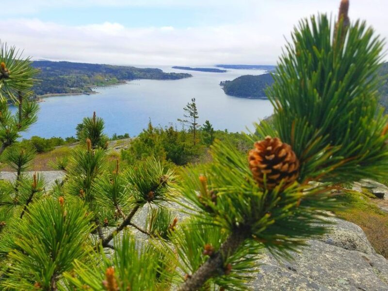 Bar Harbor: Acadia National Park Customizable Private Tour - Summary of Pros and Cons