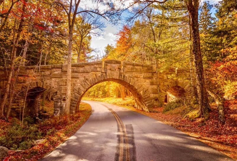 Bar Harbor: Premium Private Tour with Local Guide - An In-Depth Look at the Experience