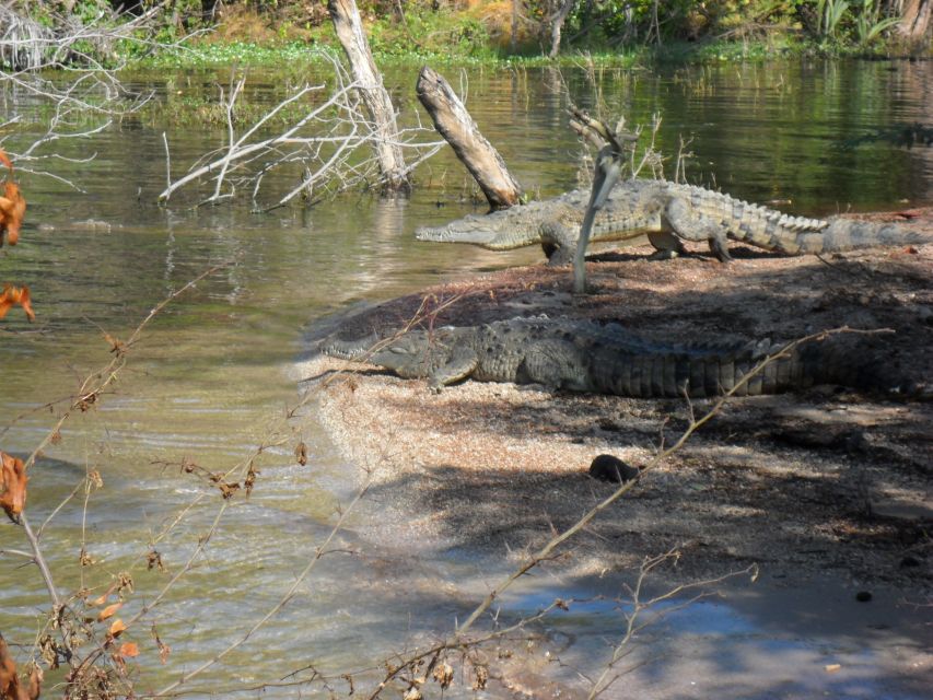 Barahona: Lake Enriquillo Discovery Tour - Boat Ride on Lake