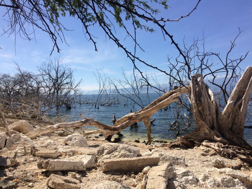 Barahona: Lake Enriquillo Discovery Tour - Tour Duration and Inclusions