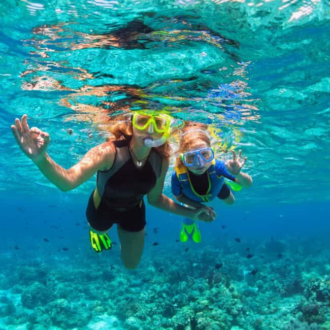 Barbados: 1-Hr Snorkeling Adventure with Supreme Watersports - What the Tour Offers and Why It Matters