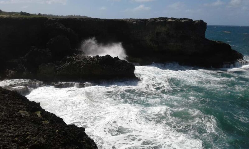 Barbados: 4 Hour Private Customized Island Tour - The Itinerary: Tailored to You