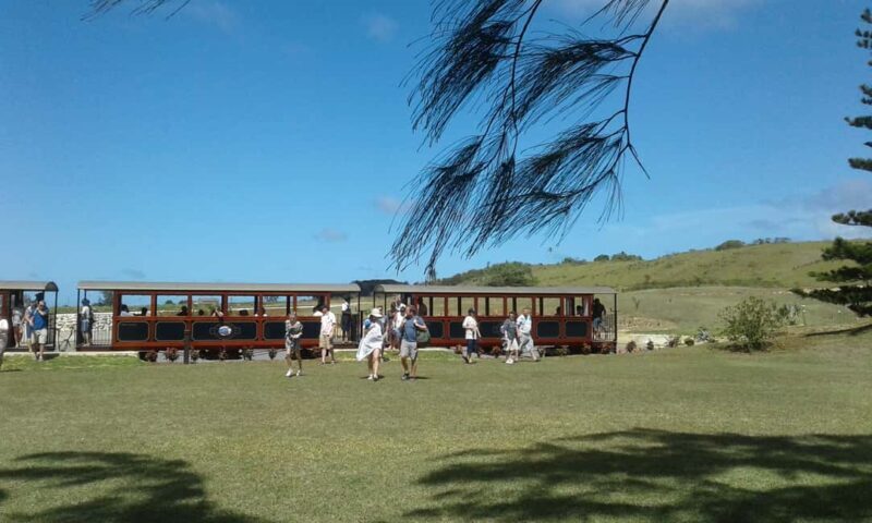 Barbados: 4 Hour Private Customized Island Tour - What’s Included and What to Bring