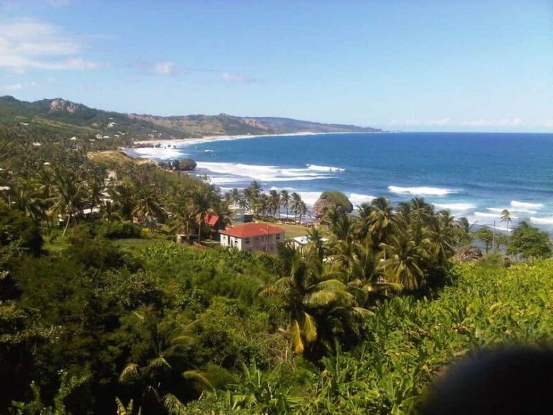 Barbados: 5.5-Hour Island Tour Plantation, Lunch and Drinks - Key Points