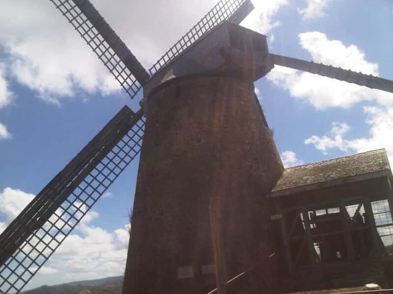 Barbados: 5.5-Hour Island Tour Plantation, Lunch and Drinks - Transportation, Timing, and Group Size