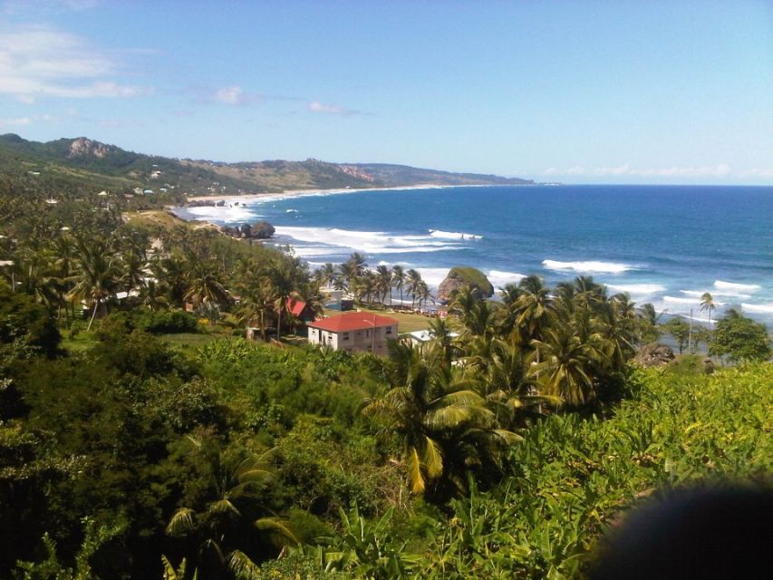 Barbados: 5-Hour Island Tour With Lunch and Drinks - Customer Feedback