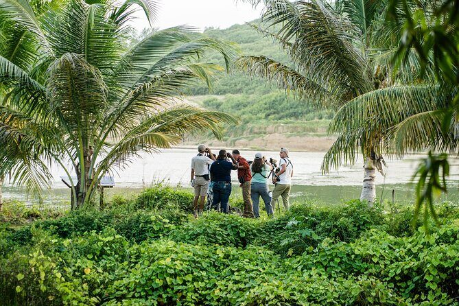 Barbados Bird Watching Experience (Transport Included) - A Practical Look at the Tour