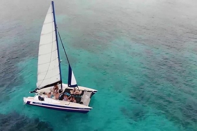 Barbados Catamaran Snorkel Cruise With Lunch and Open Bar - Food and Beverage Offerings