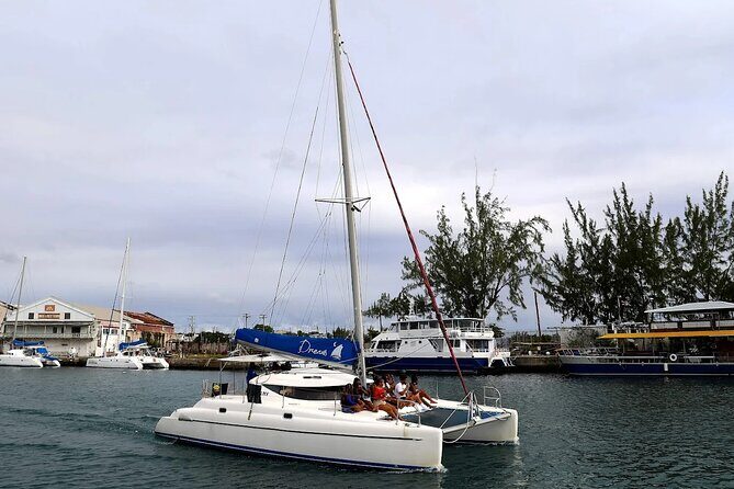 Barbados Catamaran Snorkeling Turtle and Shipwrecks tour - The Sum Up