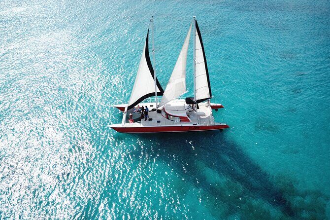 Barbados Catamaran Turtle and Shipwreck Snorkeling Cruise - What Makes This Tour Stand Out?