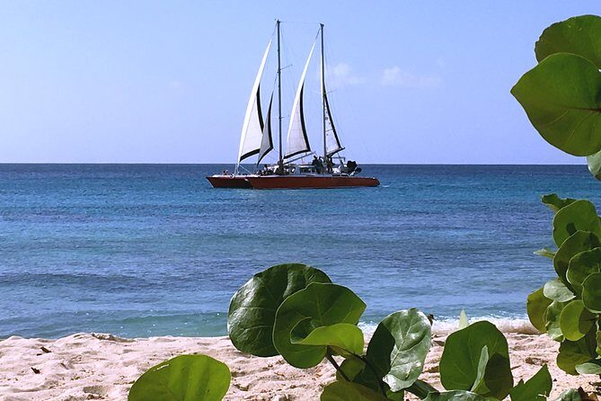Barbados Catamaran Turtle and Shipwreck Snorkeling Cruise - The Sum Up