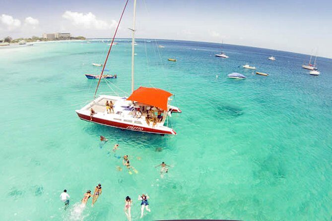 Barbados Catamaran Turtle Snorkel with Lunch and Open Bar - An In-Depth Look at the Experience