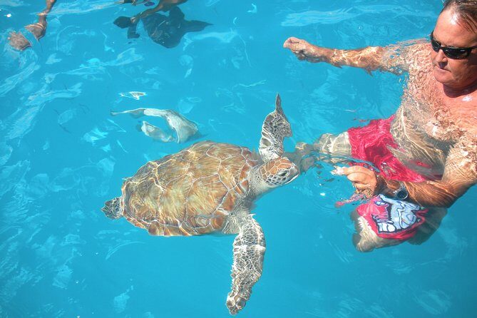 Barbados Catamaran Turtle Snorkel with Open Bar - An Authentic Barbados Experience on the Water