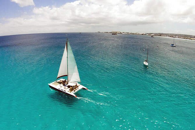 Barbados Catamaran Turtle Snorkel with Open Bar - Who Will Love This Tour?
